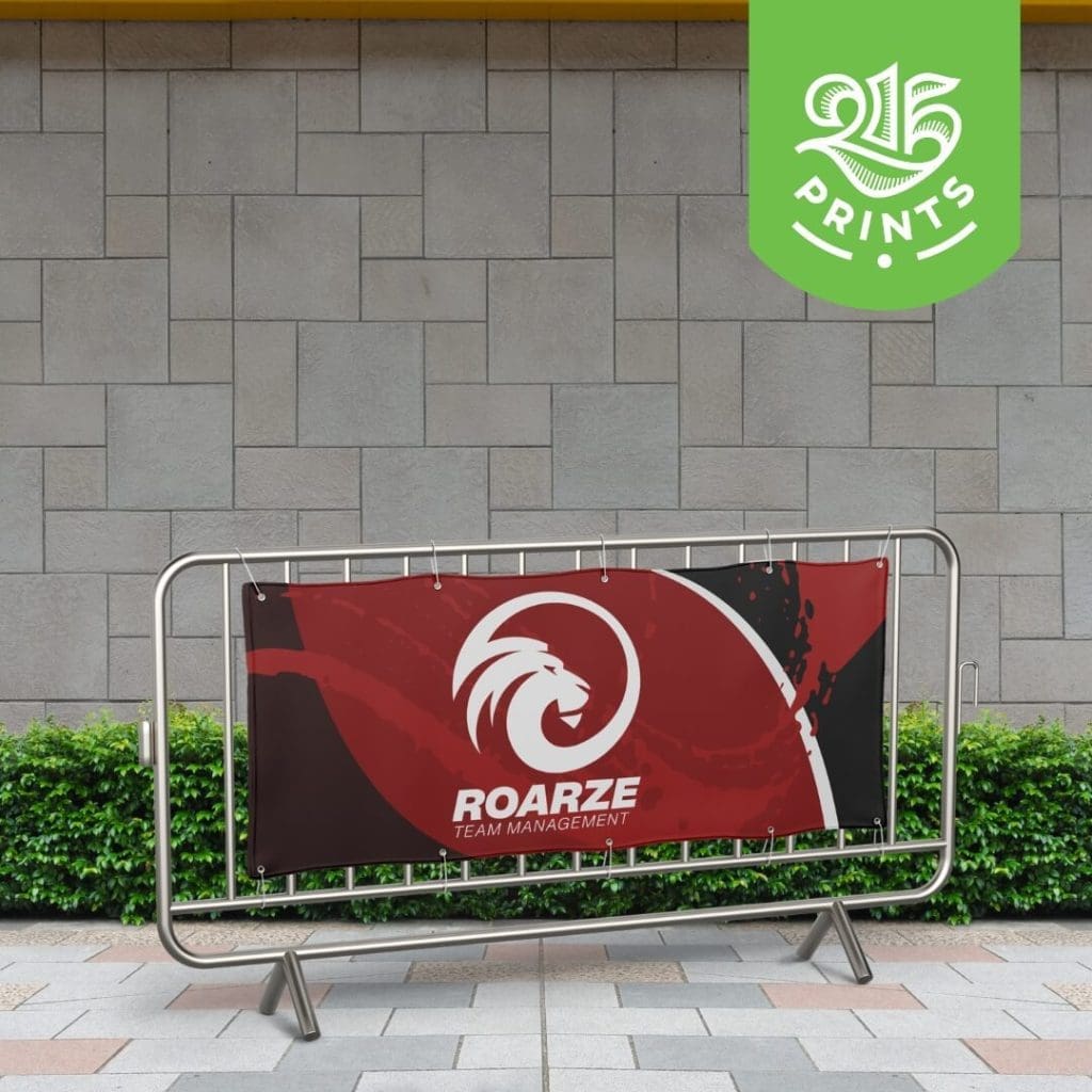 what is a  mesh banner